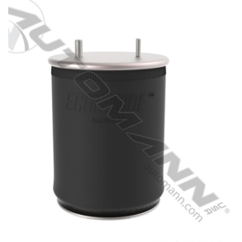 AIR SPRING ROLLING LOBE