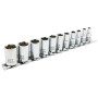11PC SOCKET SET