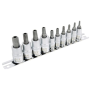 10PC TORX SOCKET SET