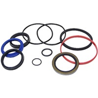 CHAR-LYNN SEAL KIT