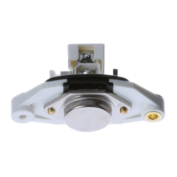 REG/BRUSH ASSY (12V)