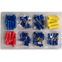 TERM ASSORT KIT