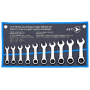 10PC RACTHET WRENCH SET
