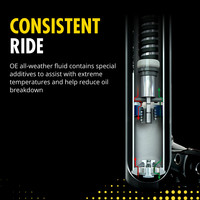 OESPECTRUM PREMIUM STRUT