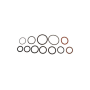 O-RING DISTRIBUTION ASSO