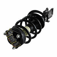 LOADED STRUT