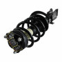 LOADED STRUT