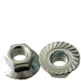 1/2NF FLANGE NUT