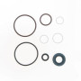 PUMP SEAL KIT
