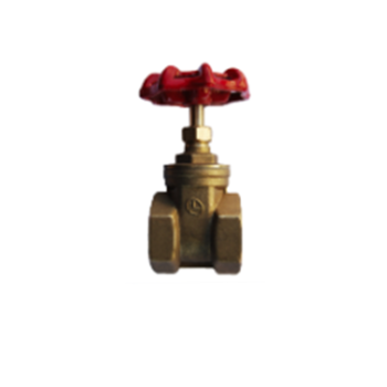 VALVE GATE BR 1/2IN FNPT
