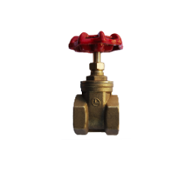 VALVE GATE BR 1/2IN FNPT