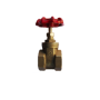 VALVE GATE BR 1/2IN FNPT
