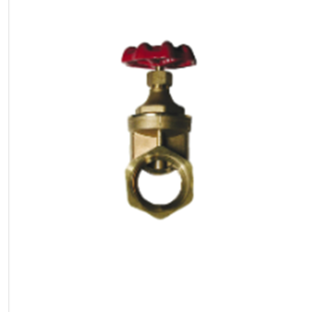 VALVE GATE BR 1 1/4IN