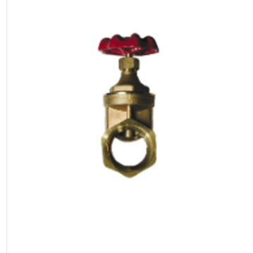VALVE GATE BR 1 1/4IN