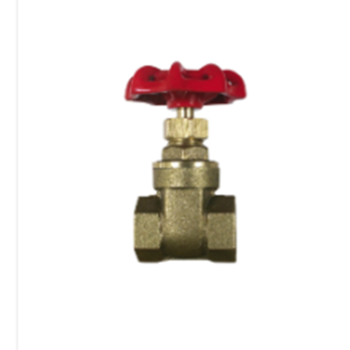 VALVE GATE BR 3IN FNPT