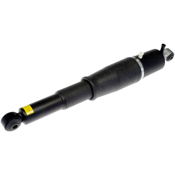 AIR STRUT