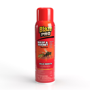 WASP AND HORNET KILLER