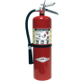 10LB FIRE EXTINGUISHER