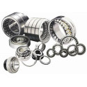 Bearings & Power Transmission