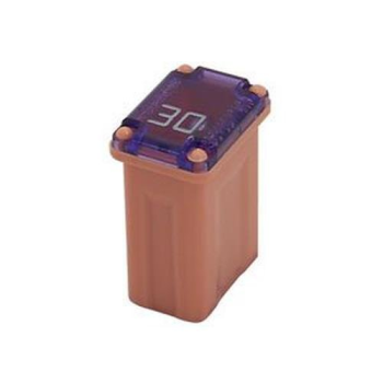 MICRO 30 AMP FUSE