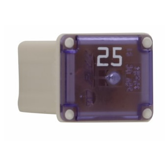 25 AMP FUSE
