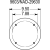 AIR SPRING