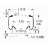 AIR SPRING{KENWORTH}