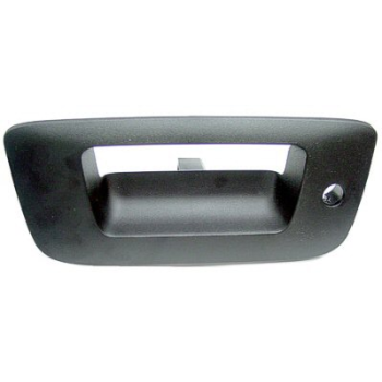 TAILGATE HANDLE POCKET