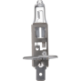 24V STANDARD HALOGEN