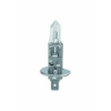 24V STANDARD HALOGEN