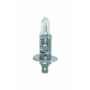 24V STANDARD HALOGEN