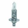 24V STANDARD HALOGEN