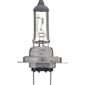 24V STANDARD HALOGEN