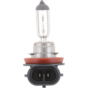STANDARD CAPSULE