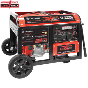 GAS/PROPANE GENERATOR