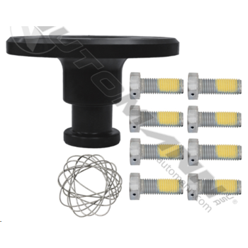 KING PIN REPLACEMENT KIT