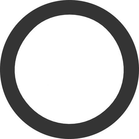 THERMOSTAT SEAL
