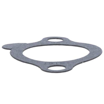 THERMOSTAT GASKET