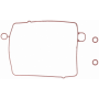 MANIFOLD GASKETS
