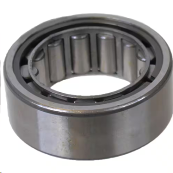 GM DIFF PILOT BEARING