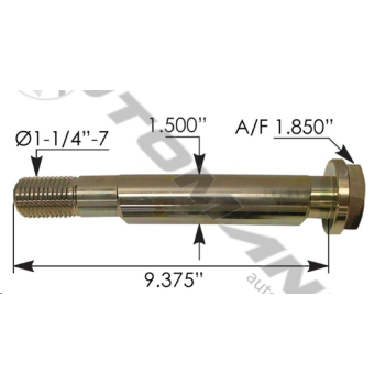 RIDEWELL ECCENTRIC BOLT
