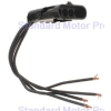MALE TAILIGHT PIGTAIL