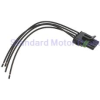FEMALE TAILIGHT PIGTAIL