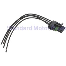 FEMALE TAILIGHT PIGTAIL