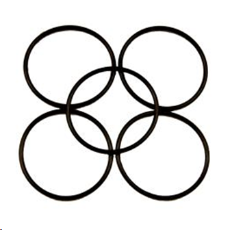 O-RING