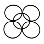 O-RING