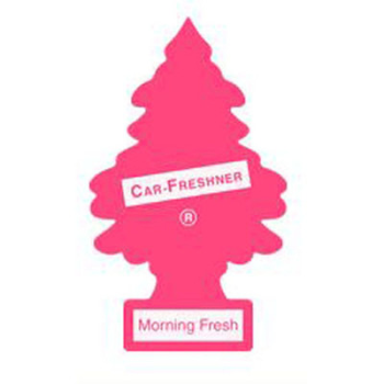 MORNING FRESH FRESHENER