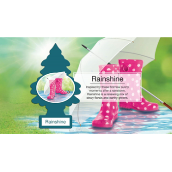 RAINSHINE AIR FRESHNER