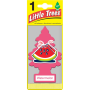 WATERMELON AIR FRESHNER