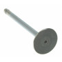 EXHAUST VALV